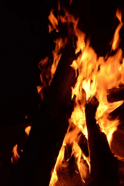 DSC_3554 (Large).JPG